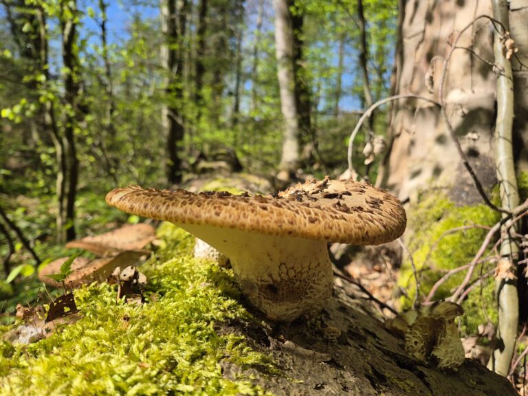 News Ostergrüsse WissensWerk